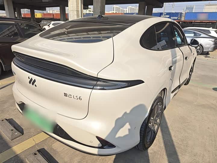 Фото 7 - IM motors LS6