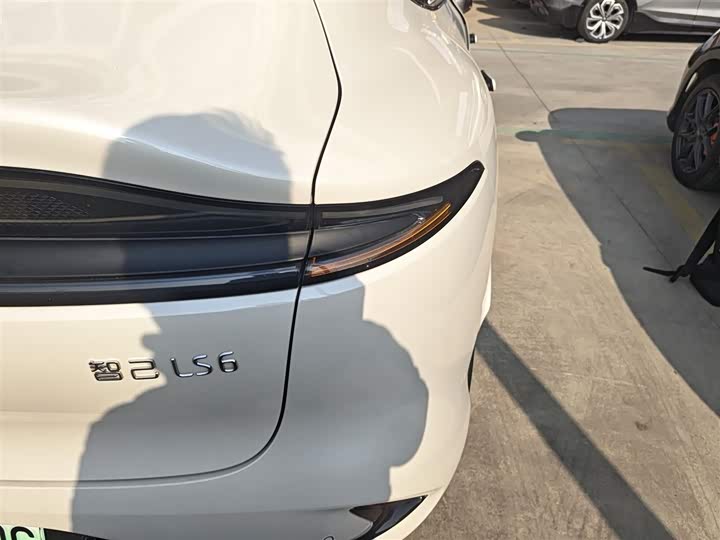 Фото 8 - IM motors LS6