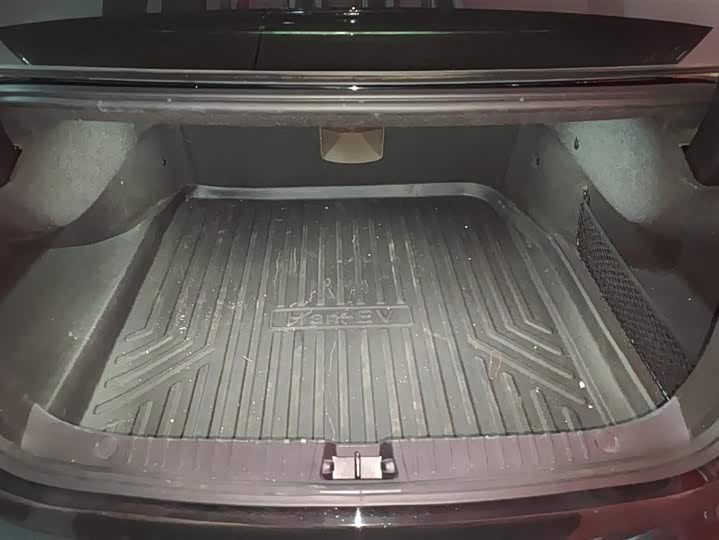 Фото 4 - BYD Han