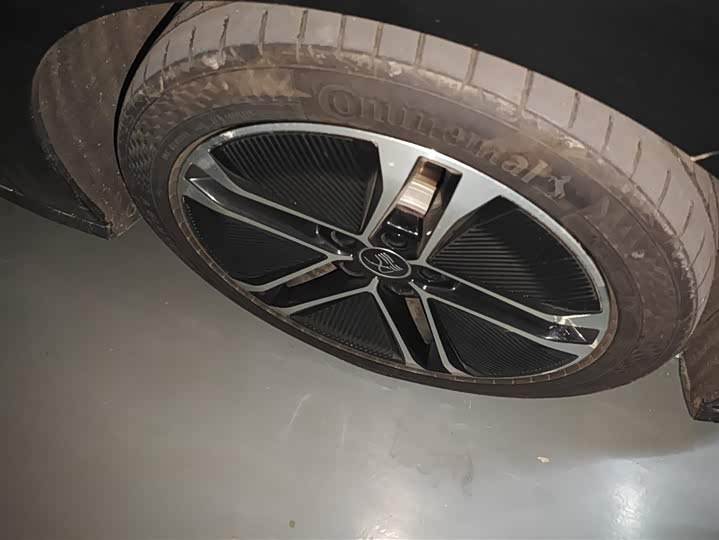 Фото 6 - BYD Han