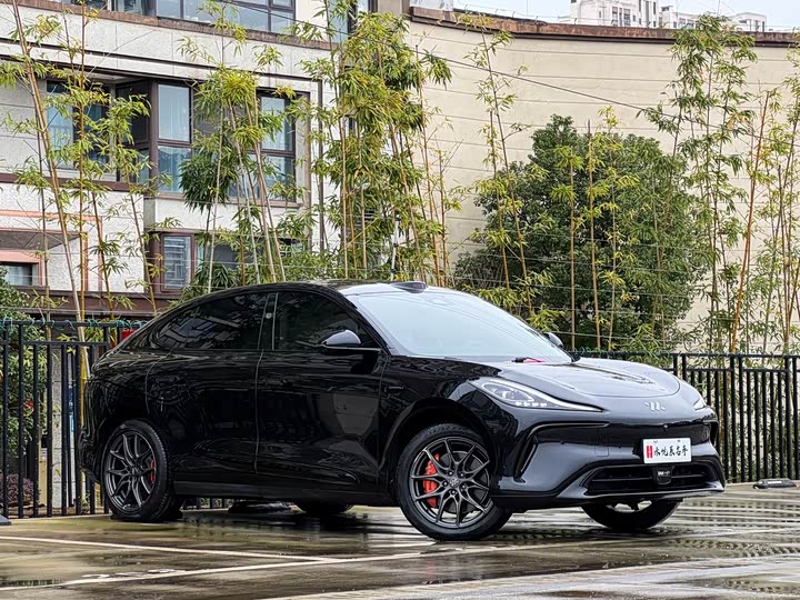 Фото 3 - IM motors LS6