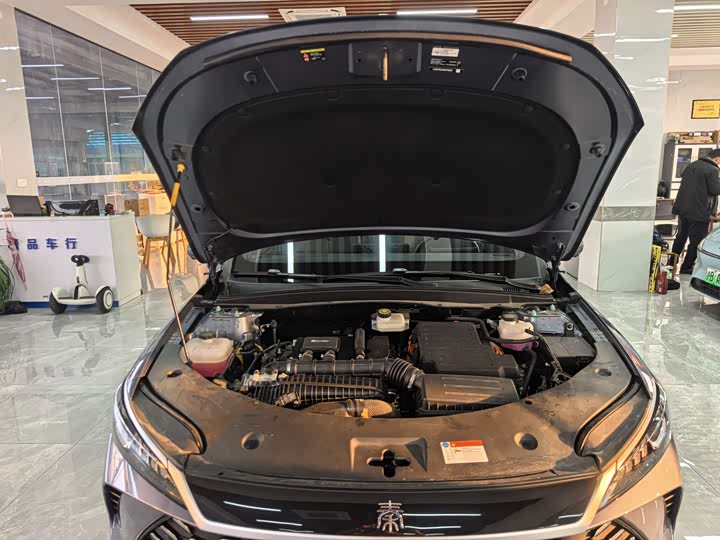 Фото 5 - BYD Qin Plus