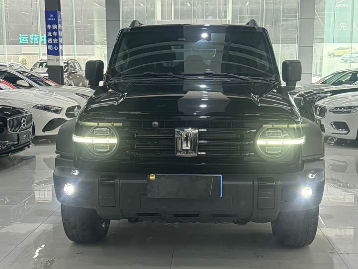 Фото 2 - Tank 300