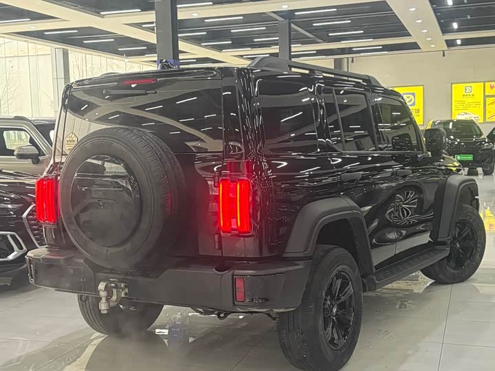 Фото 3 - Tank 300