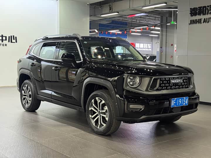 Фото 3 - Haval H-Dog