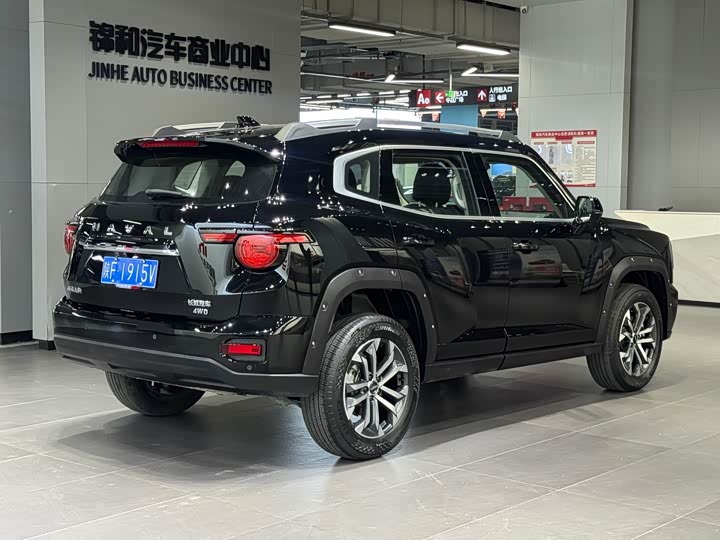 Фото 5 - Haval H-Dog