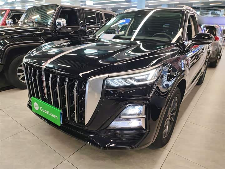Фото 2 - Hongqi HS5