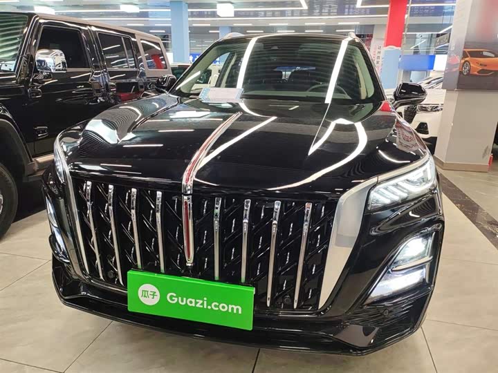 Фото 3 - Hongqi HS5