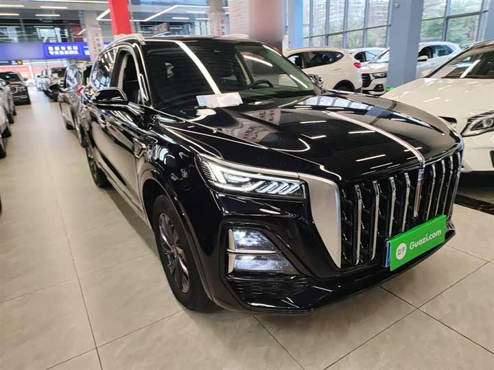 Фото 4 - Hongqi HS5