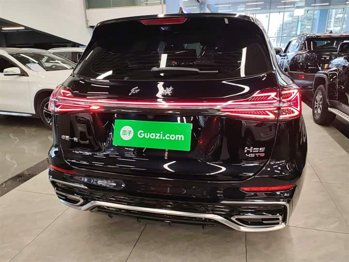 Фото 6 - Hongqi HS5