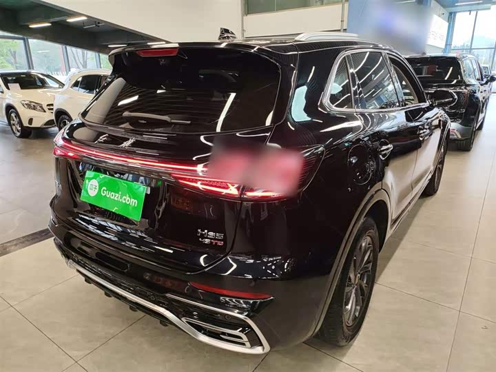 Фото 7 - Hongqi HS5