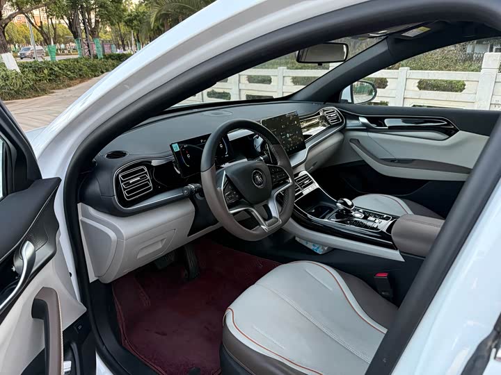 Фото 8 - BYD Qin Plus