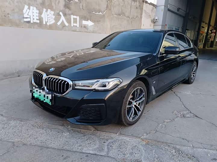 Фото 1 - BMW 5 Series Hybrid