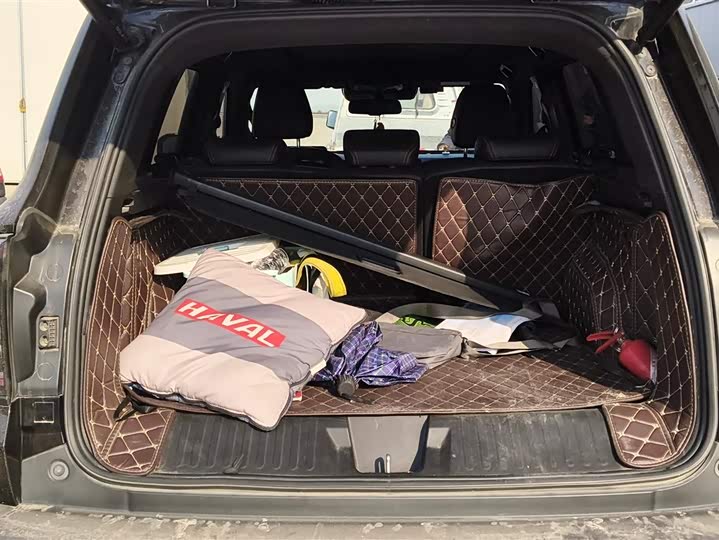 Фото 4 - Haval Dargo