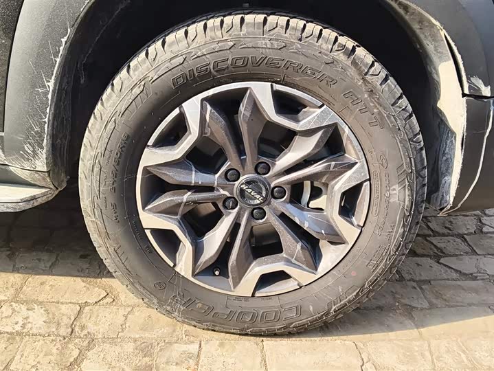 Фото 6 - Haval Dargo