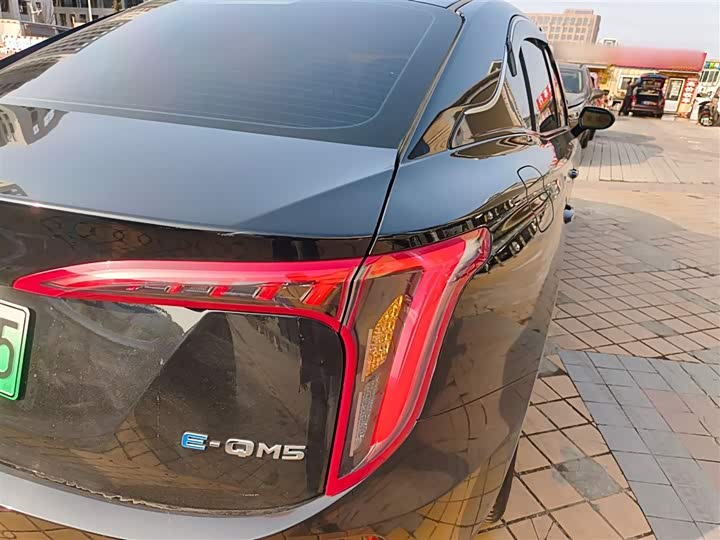 Фото 8 - Hongqi E-QM5