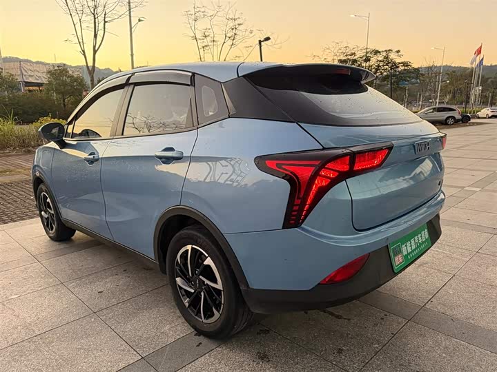 Фото 4 - Hozon V