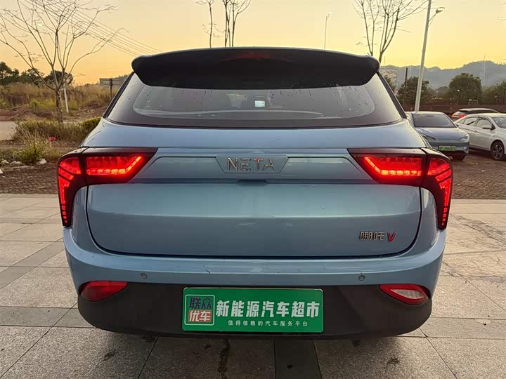 Фото 5 - Hozon V