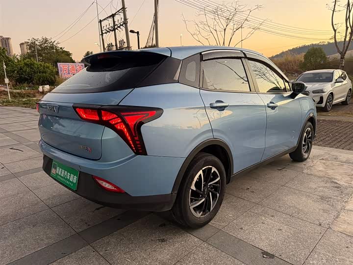 Фото 6 - Hozon V