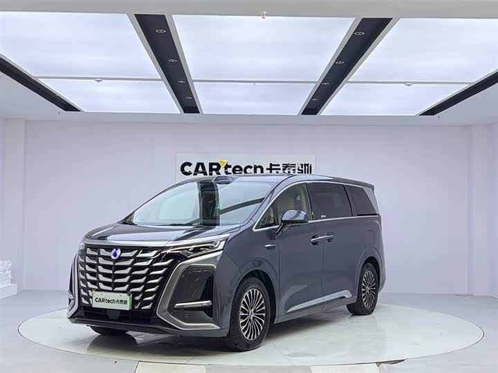 Фото 1 - Denza D9