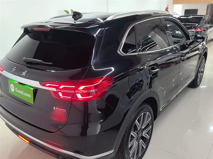 Фото 7 - Hongqi HS5