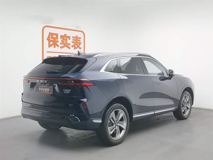 Фото 2 - Wey Mocca Hybrid