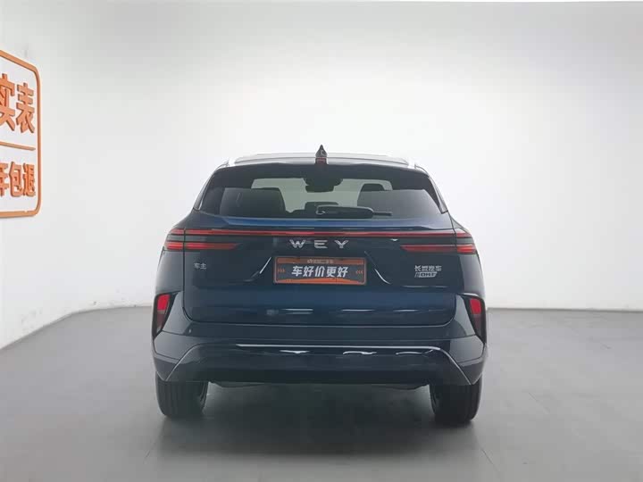 Фото 4 - Wey Mocca Hybrid