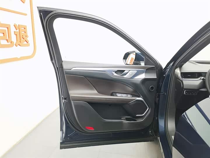 Фото 8 - Wey Mocca Hybrid