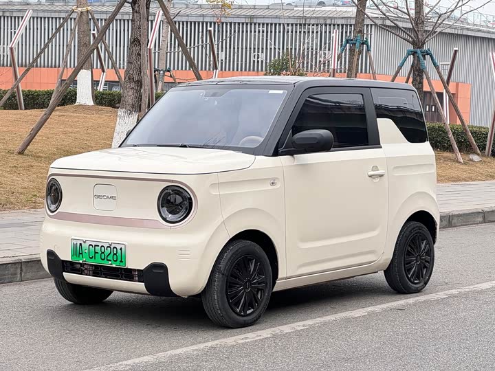 Фото 1 - Geely Galaxy Panda Mini