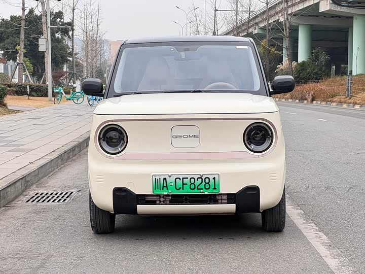Фото 2 - Geely Galaxy Panda Mini