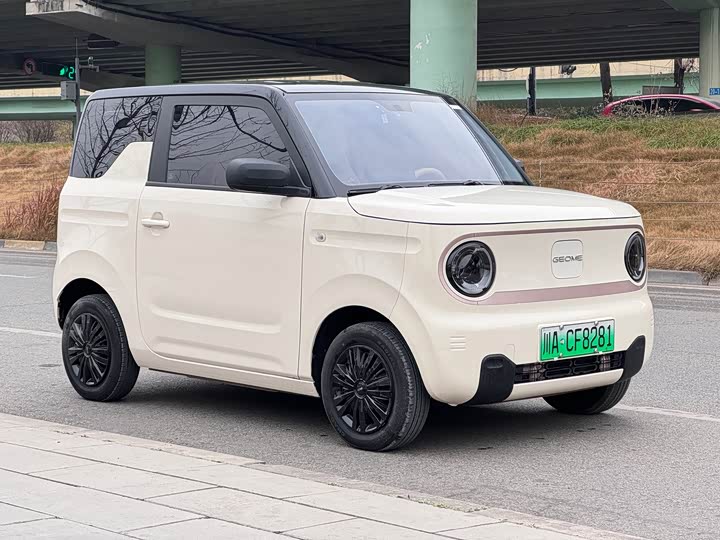 Фото 3 - Geely Galaxy Panda Mini