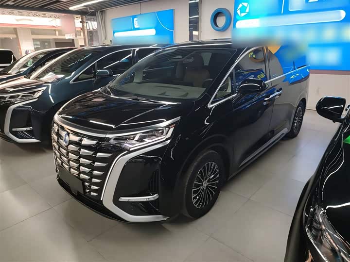 Фото 1 - Denza D9