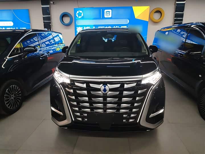 Фото 3 - Denza D9