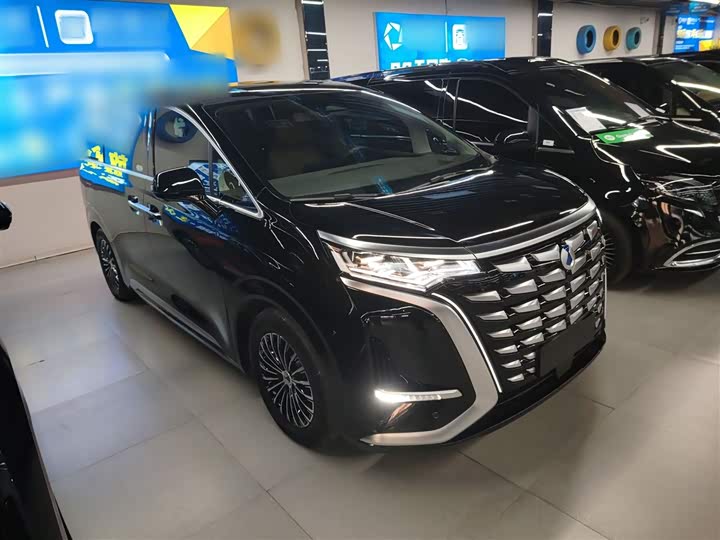 Фото 4 - Denza D9