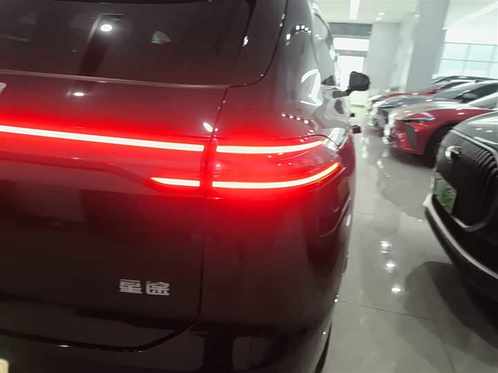 Фото 8 - Exeed Sterra ET