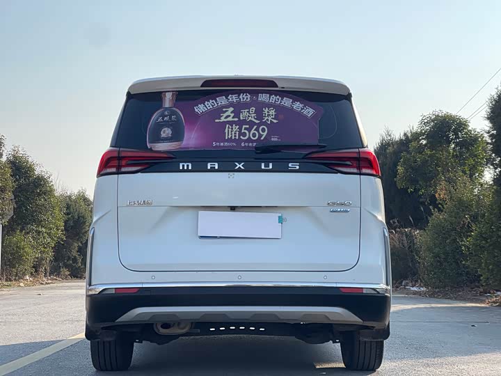 Фото 6 - Maxus G50