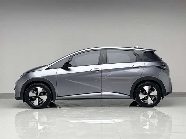 Фото 4 - BYD Dolphin