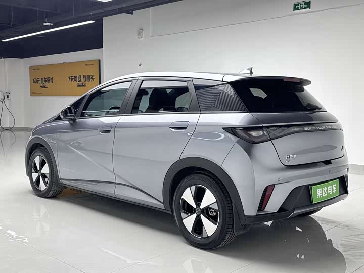 Фото 5 - BYD Dolphin