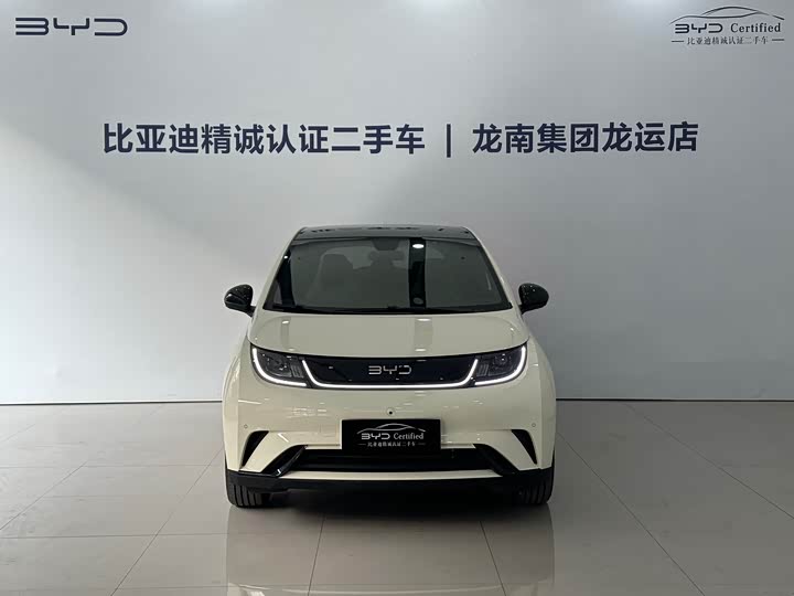 Фото 2 - BYD Dolphin