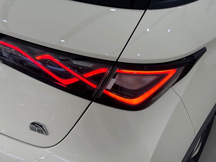 Фото 6 - BYD Dolphin