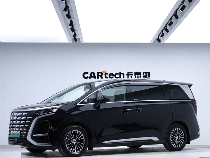 Фото 1 - Denza D9