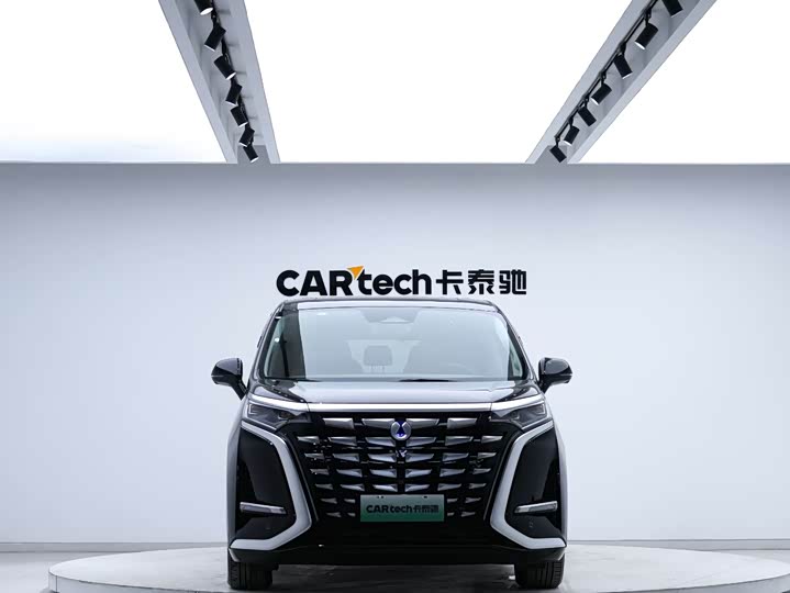 Фото 6 - Denza D9