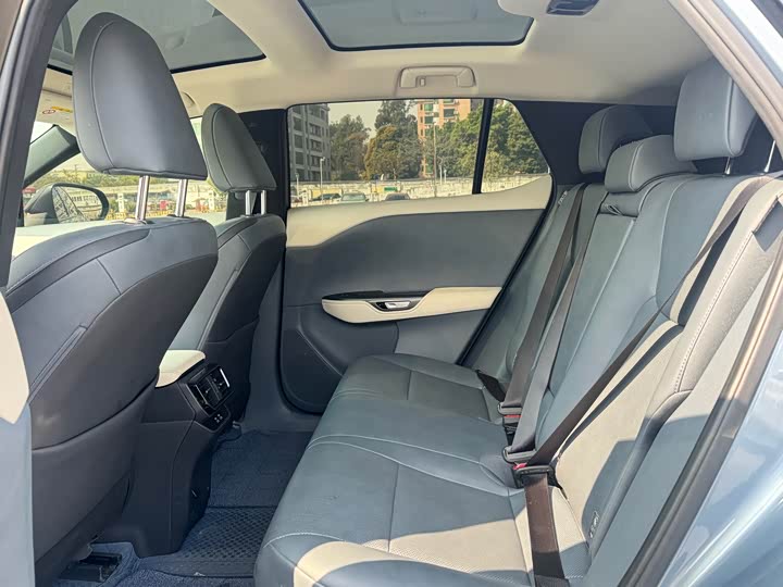 Фото 6 - Lexus RZ