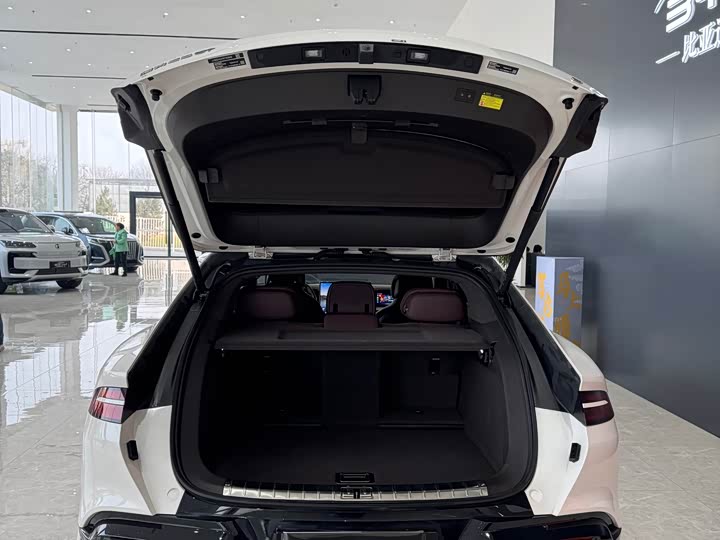 Фото 8 - Denza Z9GT