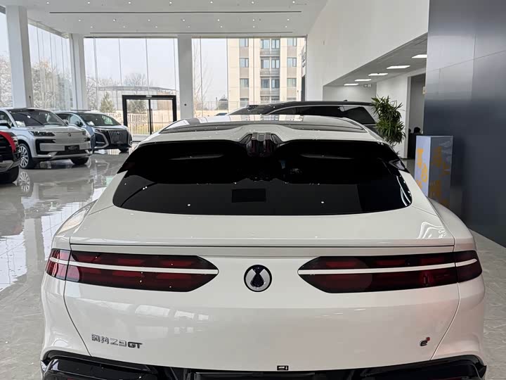 Фото 9 - Denza Z9GT