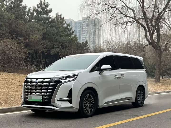 Фото 1 - Denza D9