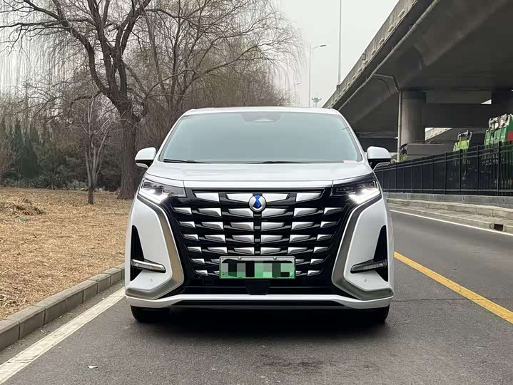 Фото 2 - Denza D9