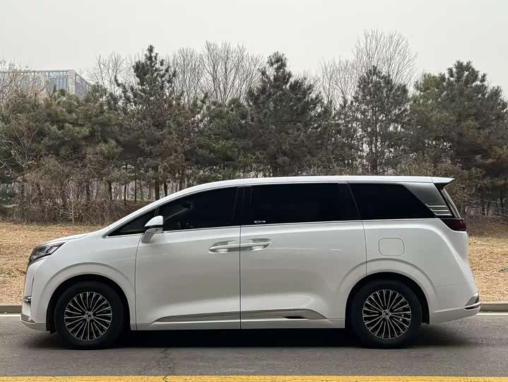 Фото 3 - Denza D9