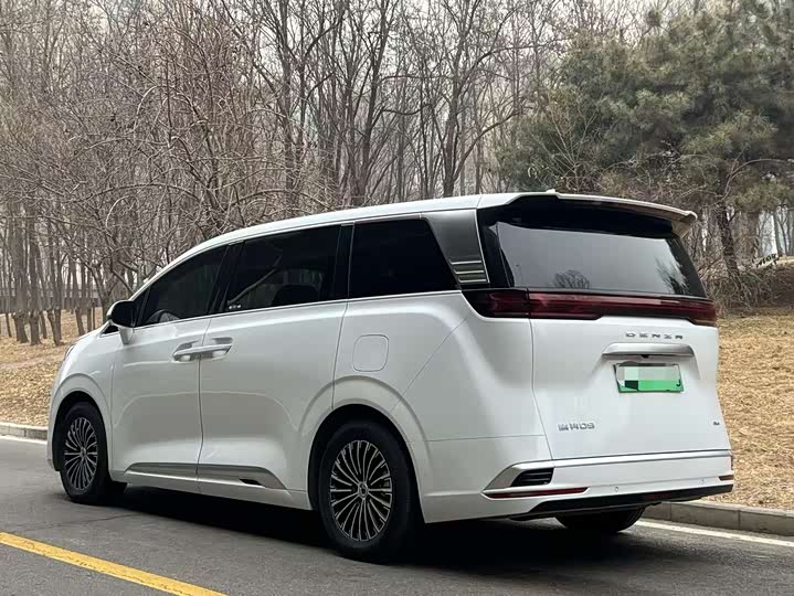 Фото 4 - Denza D9