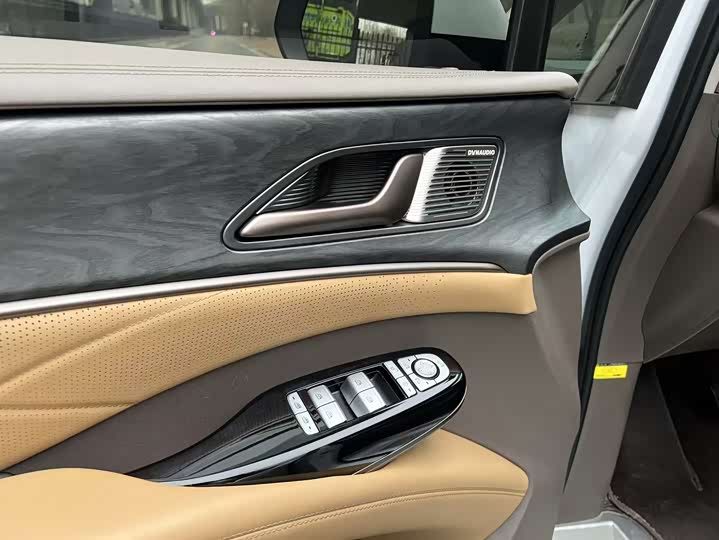 Фото 6 - Denza D9